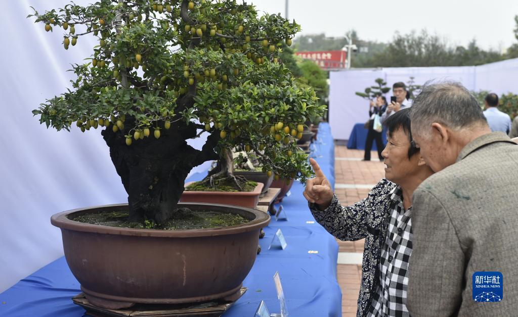 闲逸老牌棋牌官网